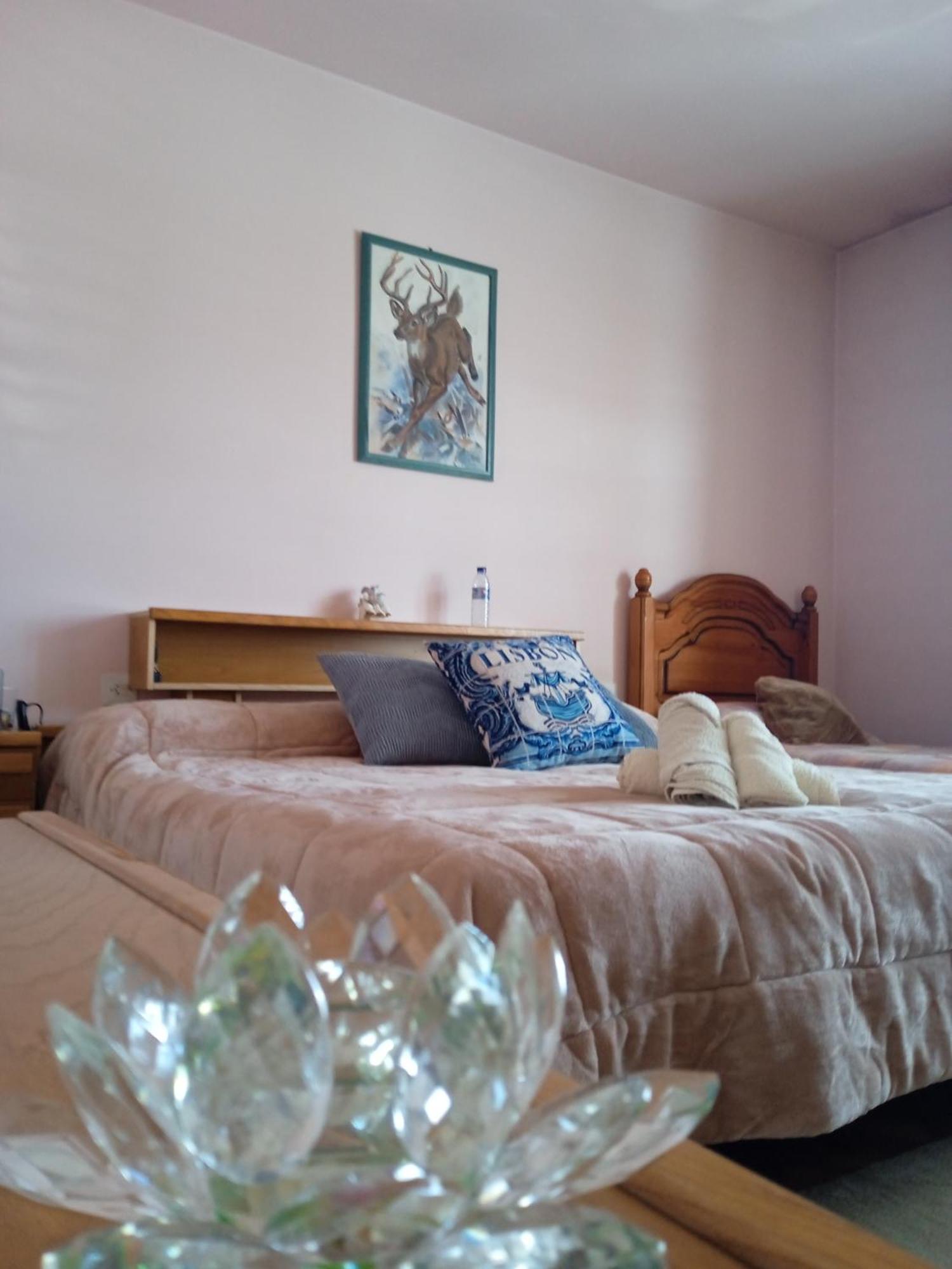 A Casa De Abelleira Ponteareas Bed & Breakfast Eksteriør bilde